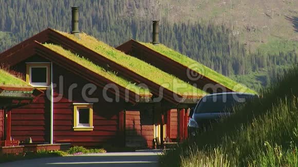 屋顶上有绿草的小木屋管道夏日阳光明媚车停在家里没有人视频的预览图