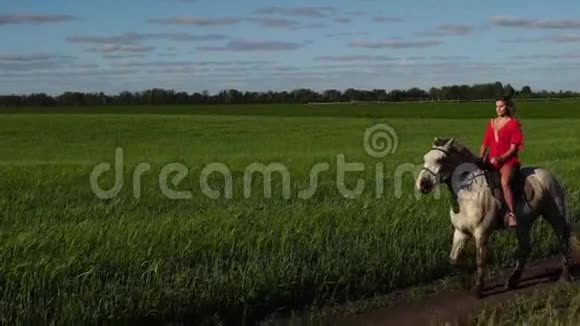 年轻漂亮的骑手骑着白马在田野上视频的预览图