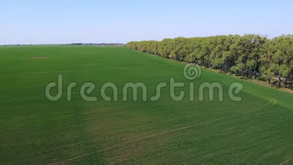 农业绿野空中射击视频的预览图