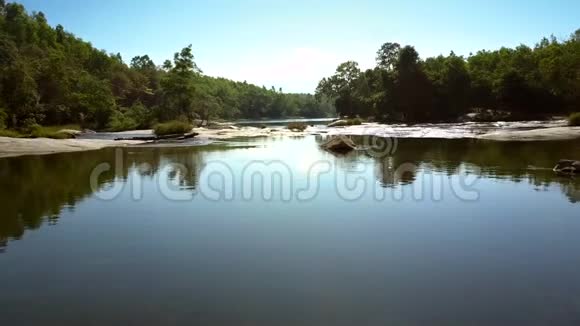 绿林野景中的河流溪流视频的预览图