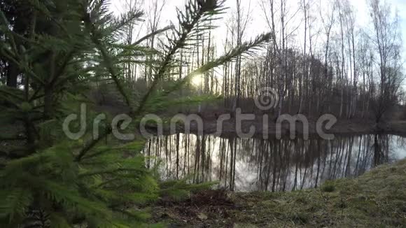 池塘后日落时间流逝4K视频的预览图