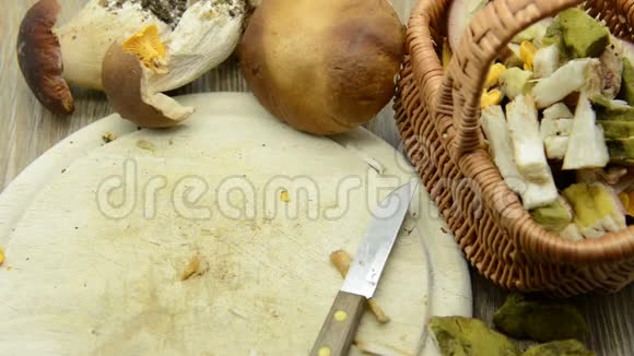 在桌子上清洗金色的蘑菇其他可食用蘑菇如博莱特湾和菜花菇视频的预览图