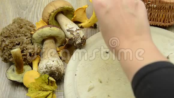 在桌子上清洗金色的蘑菇其他可食用蘑菇如博莱特湾和菜花菇视频的预览图