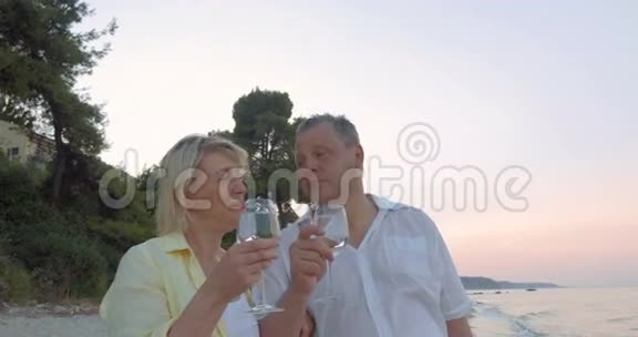 海边戴眼镜的成熟情侣视频的预览图