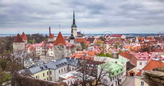 爱沙尼亚塔林中世纪老城区鸟瞰图视频的预览图