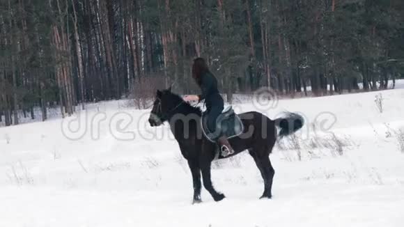 美丽的长发女子骑着一匹黑色的马穿过森林里的雪马儿跳跃着视频的预览图