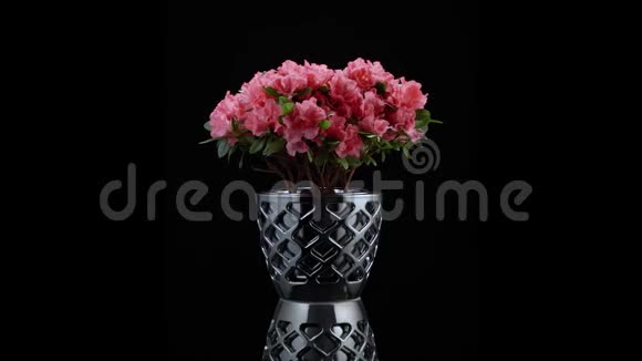 开着粉红色花朵的陶瓷盆视频的预览图