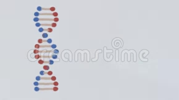 卡通DNA铅笔画螺旋分子在空间旋转无缝环动画背景新质量美丽视频的预览图