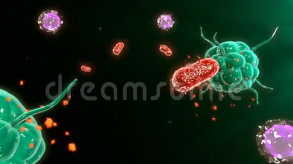 免疫反应视频的预览图