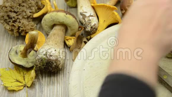 清理桌子上的蘑菇在背景中其他可食用的蘑菇如金香菜和菜花菇视频的预览图