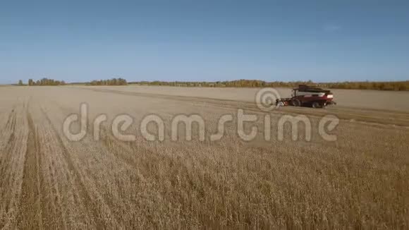 农用收割机和带空钻小麦麦田视频的预览图