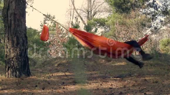 森林吊床上的年轻女子户外娱乐活动春游视频的预览图