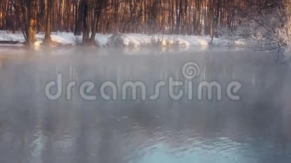 鸟儿夫妇在雾蒙蒙的冬湖里游泳早上雾在冬天的湖面上视频的预览图