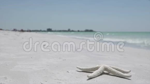 度假村海滩上的海星13个中的12个视频的预览图