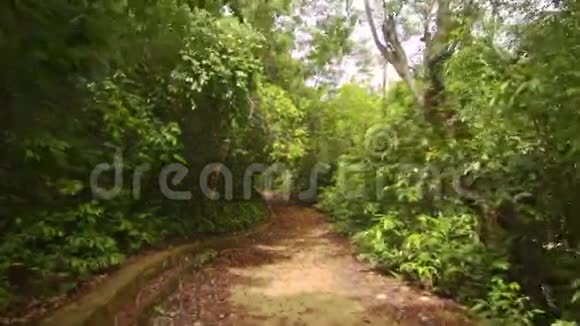 厚热带公园的沙迪步道视频的预览图