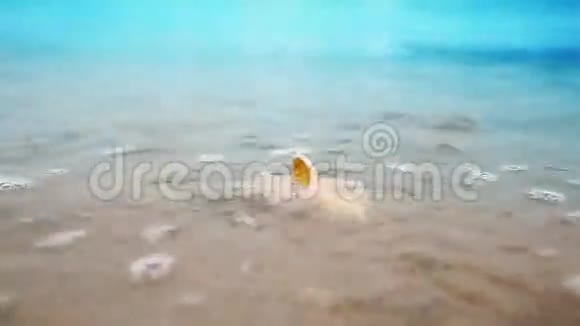 沙滩上的贝壳在阳光的照耀下波浪环绕视频的预览图
