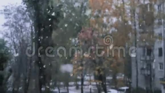 树前积雪近景视频的预览图