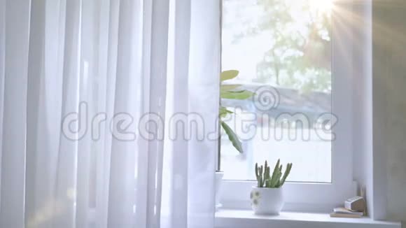 窗户是白色的有窗帘背景视频的预览图