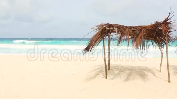 塞舌尔拉迪克海滩的棕榈天窗视频的预览图