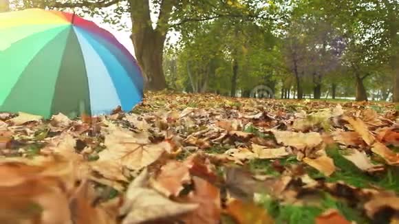 秋天公园有人丢了一把五彩伞视频的预览图
