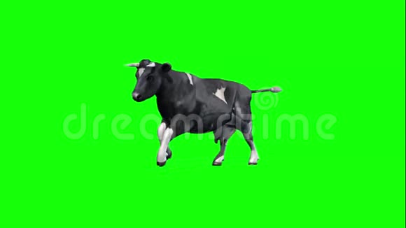 奶牛运行2绿色屏幕视频的预览图