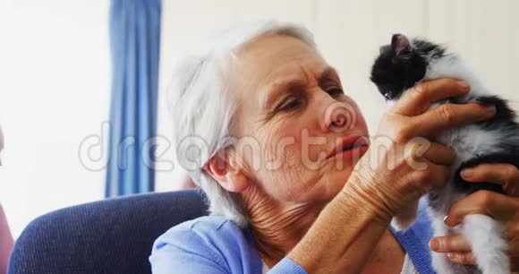 老年妇女抱着小猫坐在养老院的扶手椅上视频的预览图