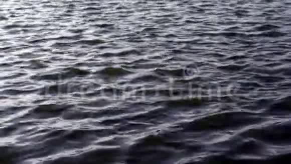 高质量的水环面视频的预览图