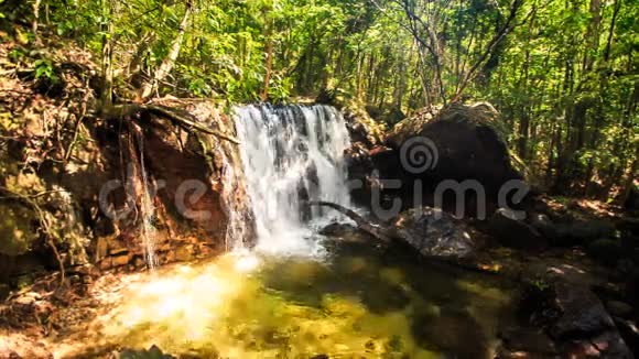 热带森林中的小瀑布落入透明池塘视频的预览图