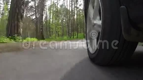 汽车的车轮在森林道路上行驶视频的预览图
