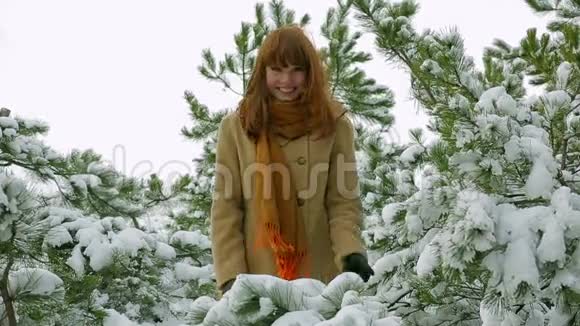 快乐女孩在森林里玩雪视频的预览图