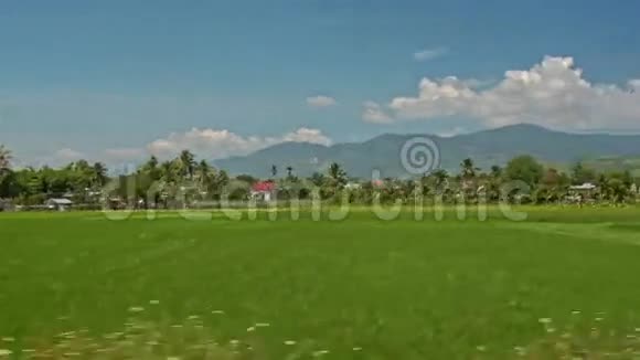 一望无际的稻田与蓝天视频的预览图