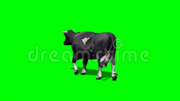 牛走3绿色屏幕视频的预览图