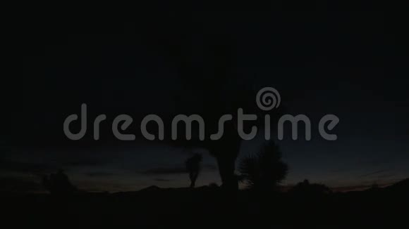 日出之树黑岩峡谷视频的预览图