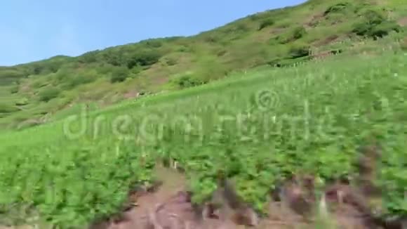 沿着莫塞尔山谷葡萄园的风景行驶视频的预览图
