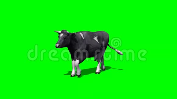 牛走2绿色屏幕视频的预览图