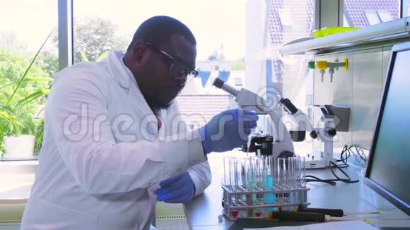 在实验室工作的非裔美国科学家博士进行微生物学研究生物技术化学细菌学视频的预览图