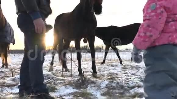 冬天的人和马视频的预览图