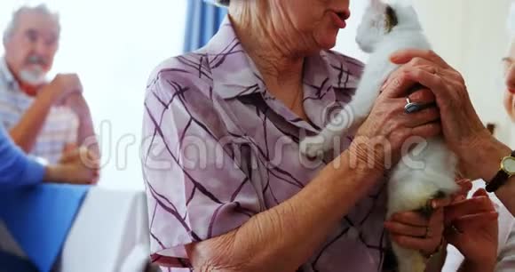 老年妇女在养老院的扶手椅上抚摸小猫4k视频的预览图