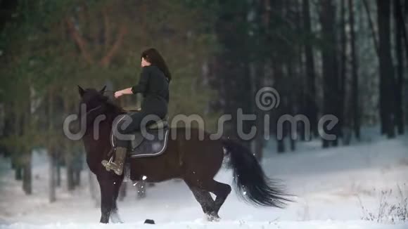 美丽的长发女子骑着一匹黑色的马穿过森林里的雪马儿跳跃着视频的预览图