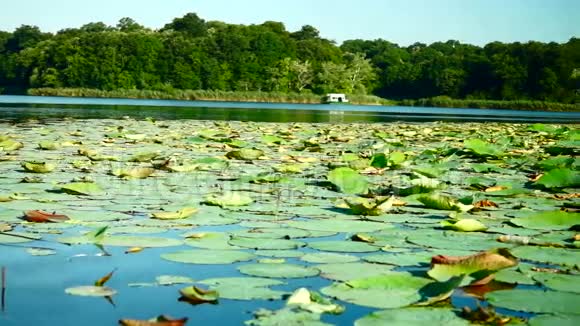绿松石水湖全景拍摄版本1视频的预览图