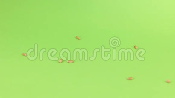 一堆麦子落在绿屏上视频的预览图