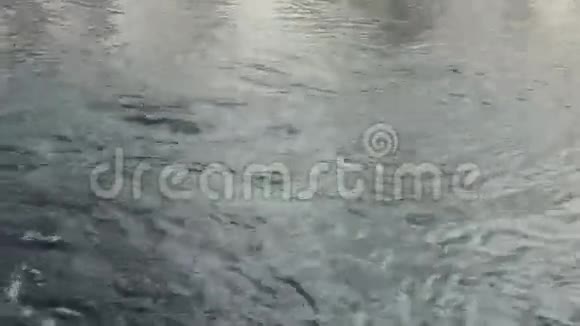 流动的水水面冬天的河流快的河水冰的石头视频的预览图