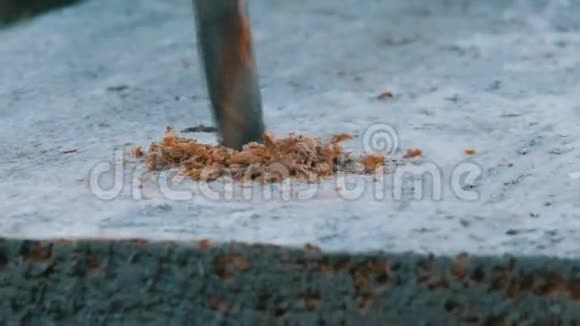 男子手钻木材与手动钻床户外秋季近景视频的预览图
