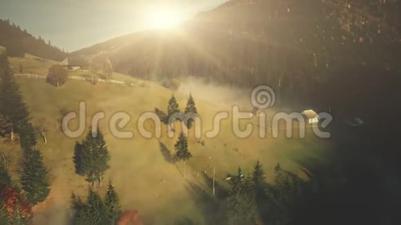 阳光明媚的山地草地景观鸟瞰视频的预览图