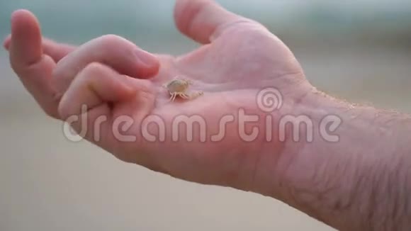 在海洋的背景下一个人手里拿着一只小螃蟹视频的预览图