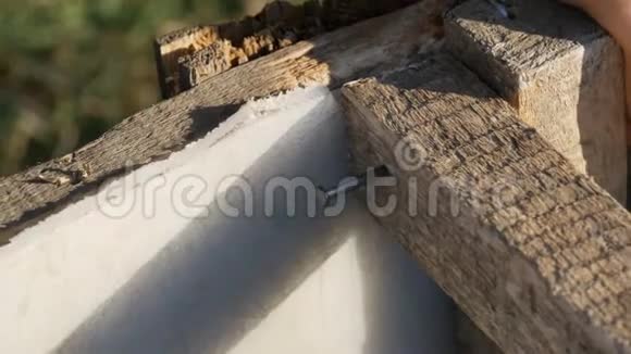 男木匠用铁钉锤成木板视频的预览图