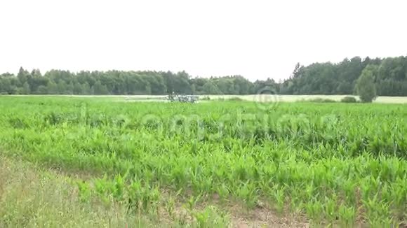 玉米植物田间和拖拉机喷洒化学物质以保护作物4K视频的预览图
