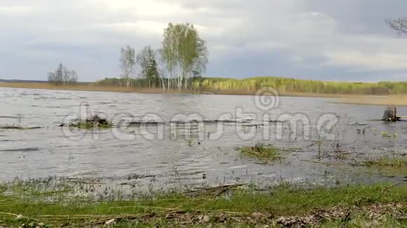 用木船观赏湖泊全景布拉斯拉夫白俄罗斯视频的预览图