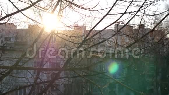 寒冷的日子城市公园日落视频的预览图