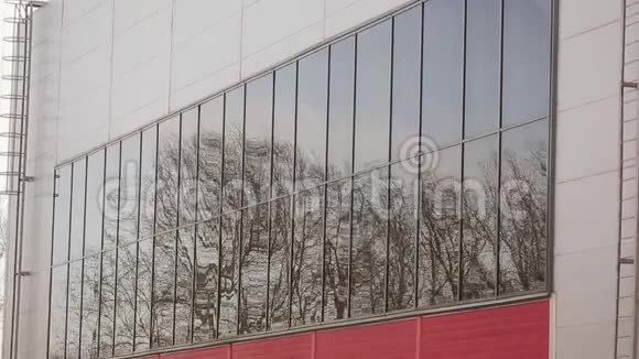 大现代建筑的窗户视图摇曳的树木倒映在玻璃上冷色调自然风视频的预览图